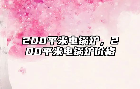 200平米電鍋爐，200平米電鍋爐價格