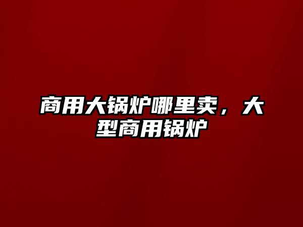 商用大鍋爐哪里賣，大型商用鍋爐