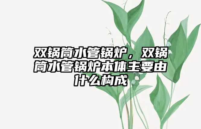 雙鍋筒水管鍋爐，雙鍋筒水管鍋爐本體主要由什么構(gòu)成