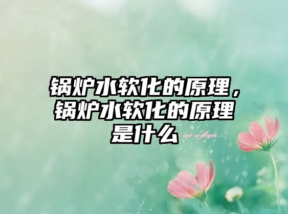 鍋爐水軟化的原理，鍋爐水軟化的原理是什么