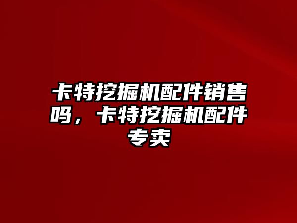 卡特挖掘機配件銷售嗎，卡特挖掘機配件專賣