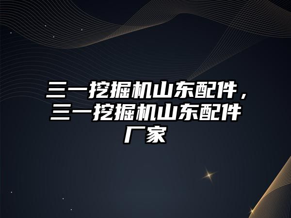 三一挖掘機山東配件，三一挖掘機山東配件廠家