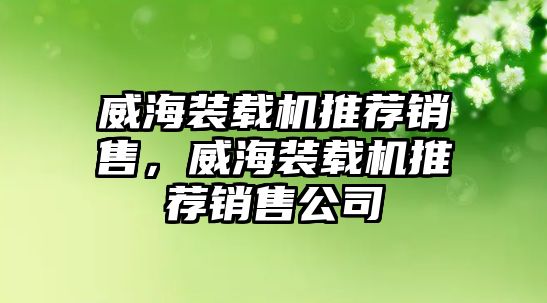 威海裝載機(jī)推薦銷售，威海裝載機(jī)推薦銷售公司