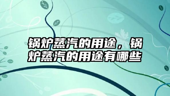 鍋爐蒸汽的用途，鍋爐蒸汽的用途有哪些