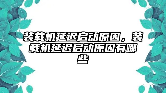 裝載機延遲啟動原因，裝載機延遲啟動原因有哪些