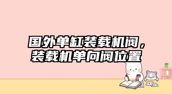 國外單缸裝載機閥，裝載機單向閥位置