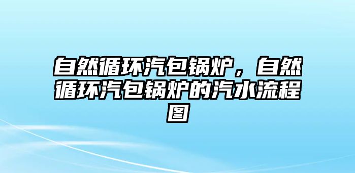 自然循環(huán)汽包鍋爐，自然循環(huán)汽包鍋爐的汽水流程圖