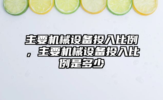 主要機械設備投入比例，主要機械設備投入比例是多少