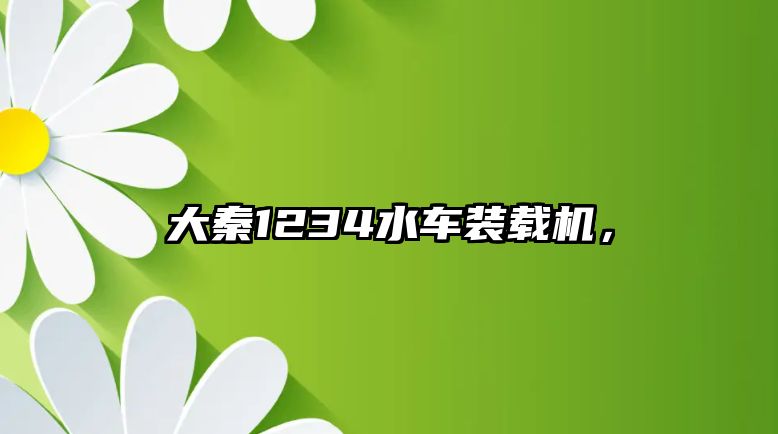 大秦1234水車裝載機，