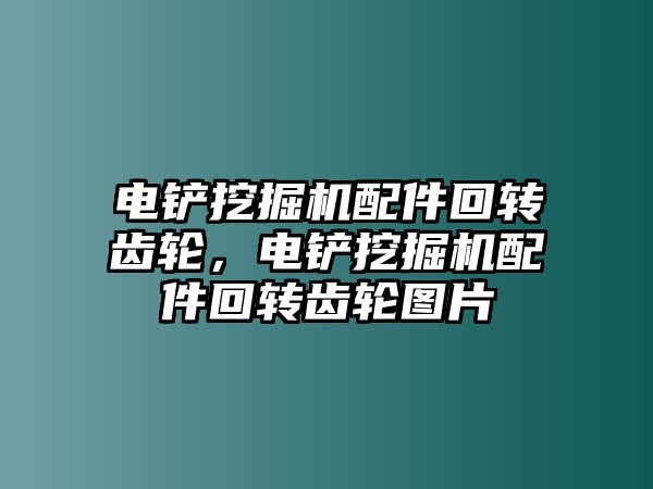 電鏟挖掘機配件回轉(zhuǎn)齒輪，電鏟挖掘機配件回轉(zhuǎn)齒輪圖片