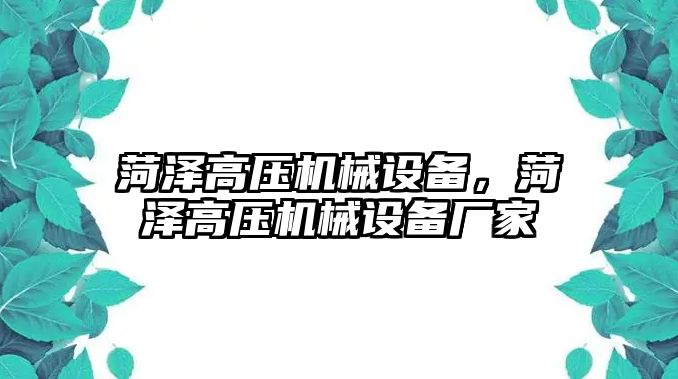 菏澤高壓機(jī)械設(shè)備，菏澤高壓機(jī)械設(shè)備廠家