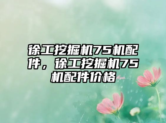 徐工挖掘機75機配件，徐工挖掘機75機配件價格