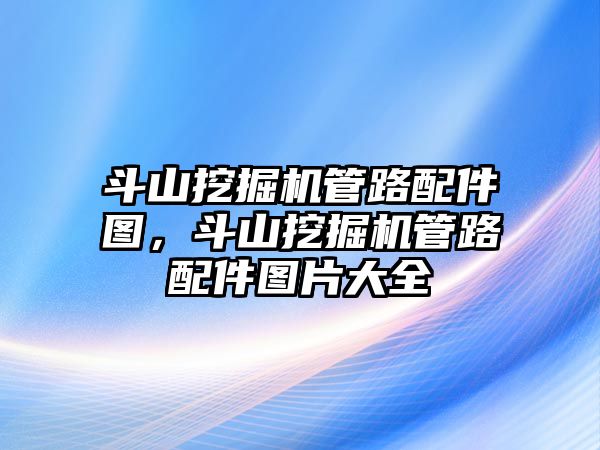 斗山挖掘機管路配件圖，斗山挖掘機管路配件圖片大全