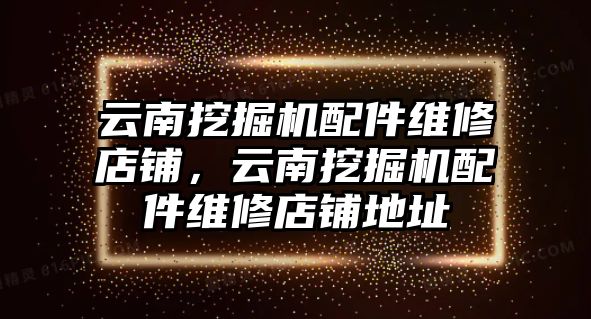 云南挖掘機配件維修店鋪，云南挖掘機配件維修店鋪地址