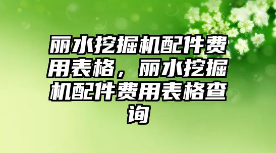 麗水挖掘機配件費用表格，麗水挖掘機配件費用表格查詢