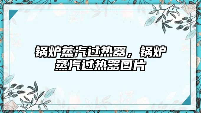 鍋爐蒸汽過熱器，鍋爐蒸汽過熱器圖片