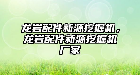 龍巖配件新源挖掘機，龍巖配件新源挖掘機廠家