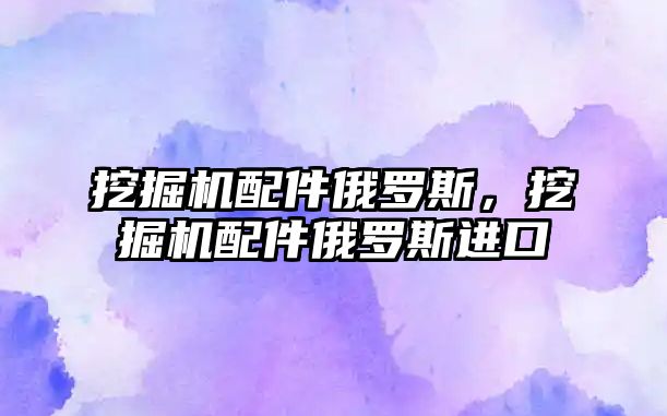 挖掘機配件俄羅斯，挖掘機配件俄羅斯進口