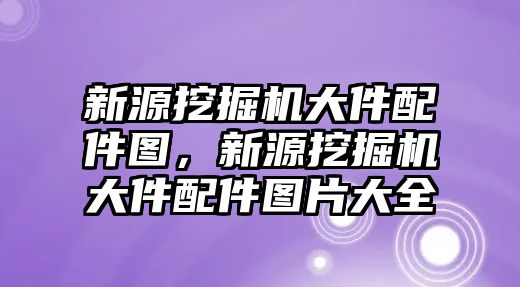 新源挖掘機(jī)大件配件圖，新源挖掘機(jī)大件配件圖片大全