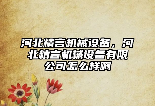 河北精言機械設備，河北精言機械設備有限公司怎么樣啊