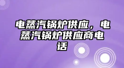 電蒸汽鍋爐供應，電蒸汽鍋爐供應商電話