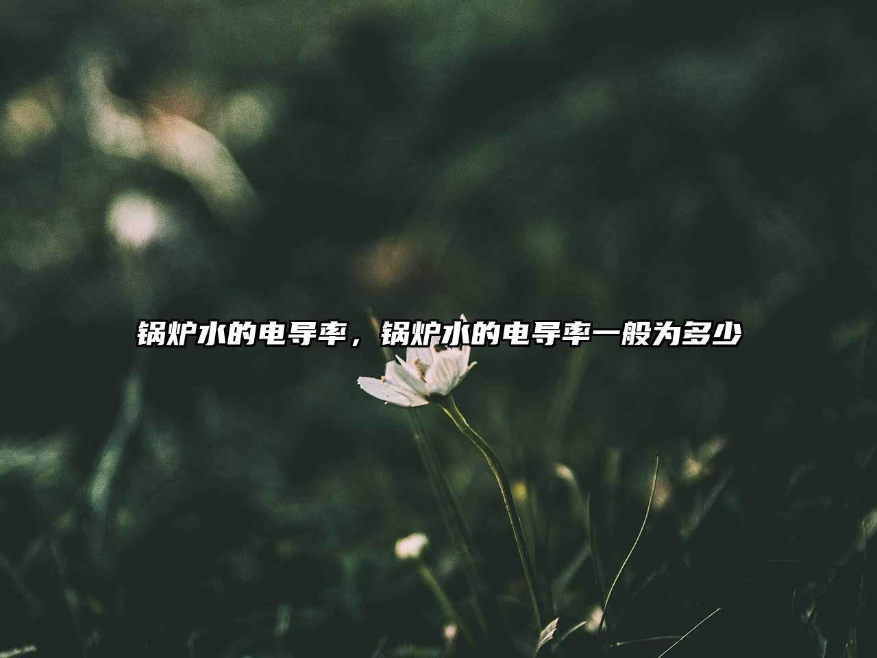 鍋爐水的電導(dǎo)率，鍋爐水的電導(dǎo)率一般為多少