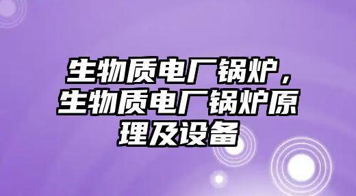 生物質電廠鍋爐，生物質電廠鍋爐原理及設備