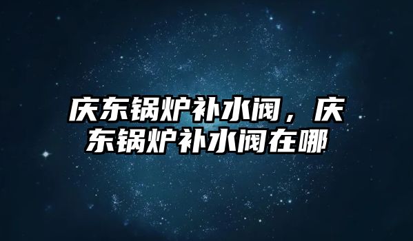 慶東鍋爐補水閥，慶東鍋爐補水閥在哪