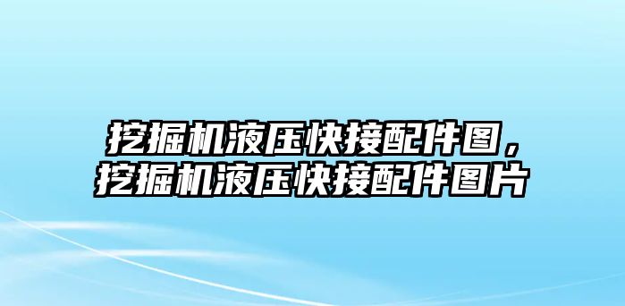 挖掘機液壓快接配件圖，挖掘機液壓快接配件圖片