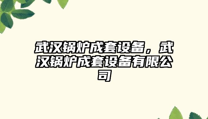 武漢鍋爐成套設(shè)備，武漢鍋爐成套設(shè)備有限公司