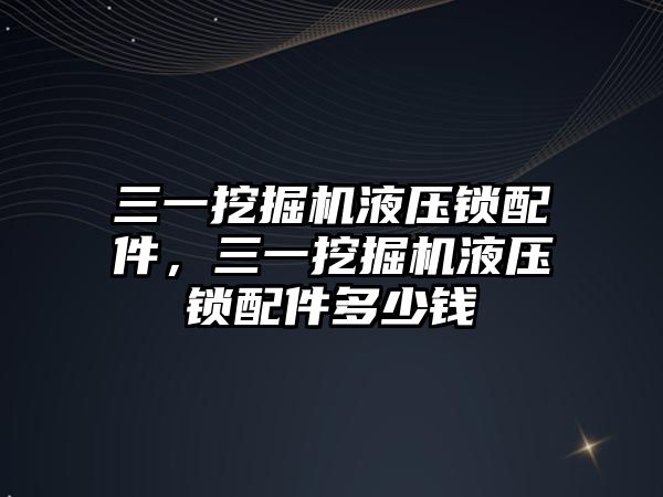 三一挖掘機液壓鎖配件，三一挖掘機液壓鎖配件多少錢