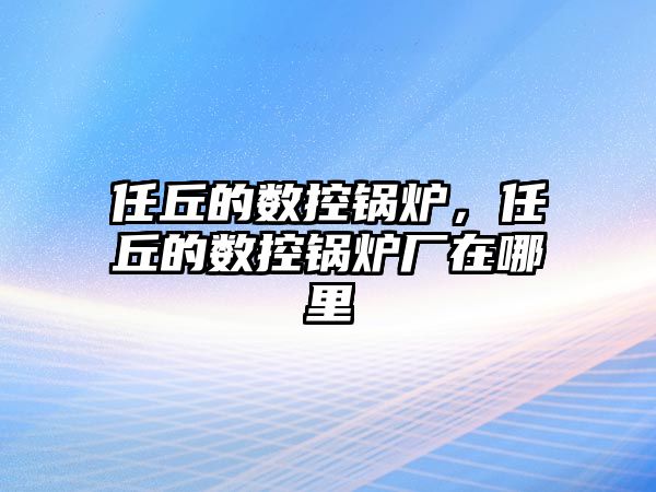 任丘的數(shù)控鍋爐，任丘的數(shù)控鍋爐廠在哪里