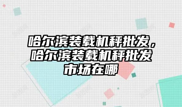 哈爾濱裝載機(jī)秤批發(fā)，哈爾濱裝載機(jī)秤批發(fā)市場(chǎng)在哪