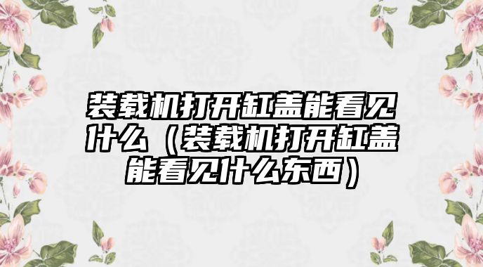 裝載機(jī)打開缸蓋能看見(jiàn)什么（裝載機(jī)打開缸蓋能看見(jiàn)什么東西）