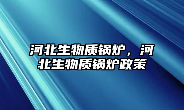 河北生物質鍋爐，河北生物質鍋爐政策