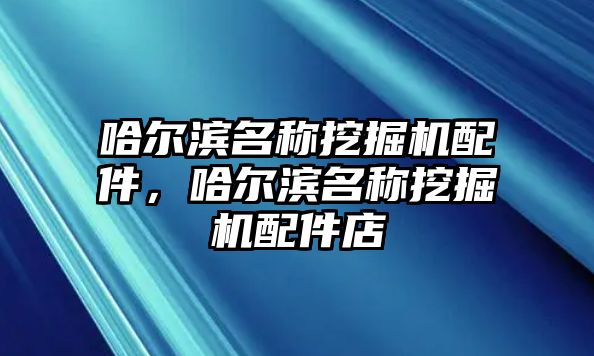 哈爾濱名稱挖掘機配件，哈爾濱名稱挖掘機配件店