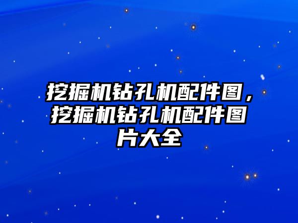 挖掘機鉆孔機配件圖，挖掘機鉆孔機配件圖片大全