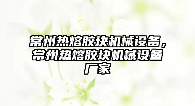 常州熱熔膠塊機械設(shè)備，常州熱熔膠塊機械設(shè)備廠家