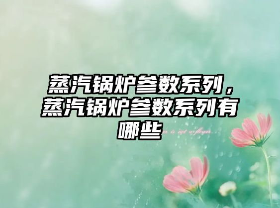 蒸汽鍋爐參數(shù)系列，蒸汽鍋爐參數(shù)系列有哪些