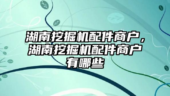 湖南挖掘機(jī)配件商戶，湖南挖掘機(jī)配件商戶有哪些