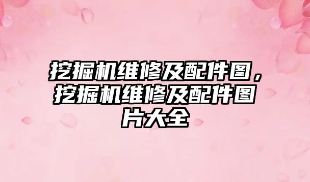 挖掘機維修及配件圖，挖掘機維修及配件圖片大全