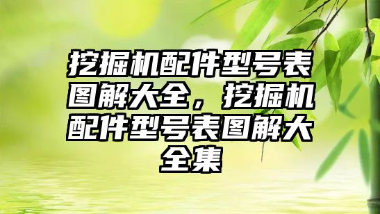 挖掘機配件型號表圖解大全，挖掘機配件型號表圖解大全集