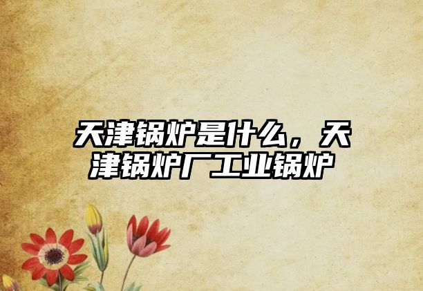 天津鍋爐是什么，天津鍋爐廠工業(yè)鍋爐