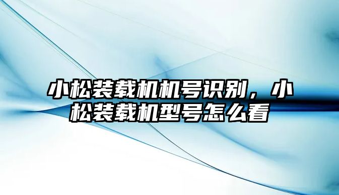 小松裝載機(jī)機(jī)號(hào)識(shí)別，小松裝載機(jī)型號(hào)怎么看