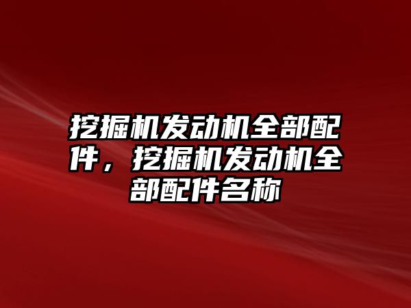 挖掘機發(fā)動機全部配件，挖掘機發(fā)動機全部配件名稱