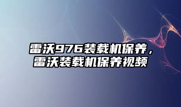 雷沃976裝載機保養(yǎng)，雷沃裝載機保養(yǎng)視頻