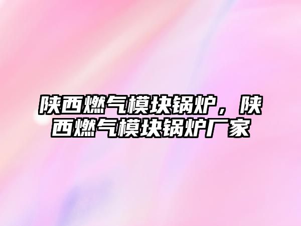 陜西燃?xì)饽K鍋爐，陜西燃?xì)饽K鍋爐廠家