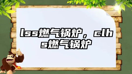 lss燃?xì)忮仩t，clhs燃?xì)忮仩t