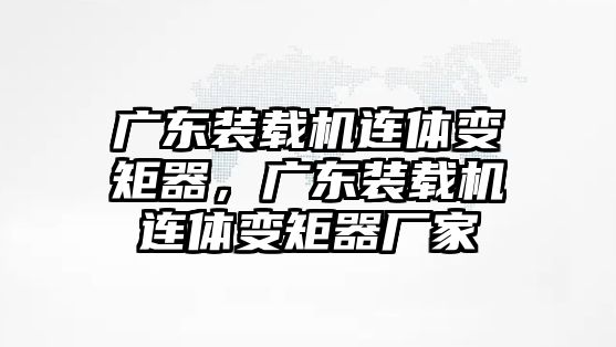 廣東裝載機連體變矩器，廣東裝載機連體變矩器廠家