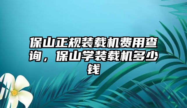 保山正規(guī)裝載機費用查詢，保山學(xué)裝載機多少錢